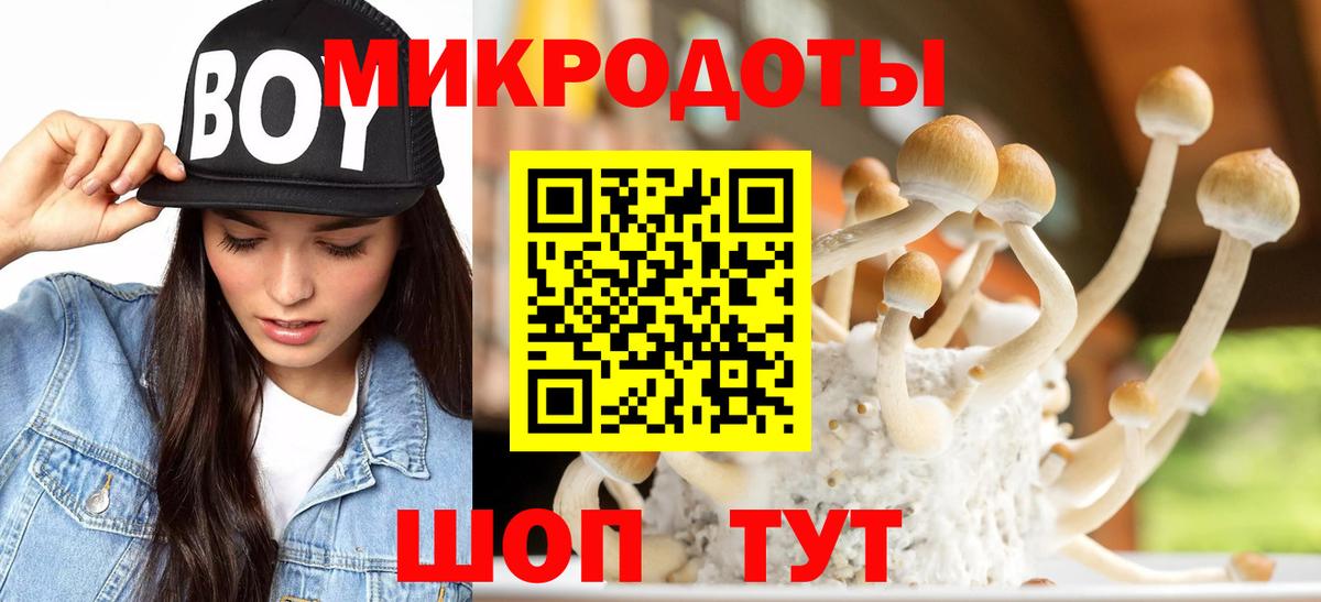 Псилоцибиновые грибы Psilocybe Семилуки